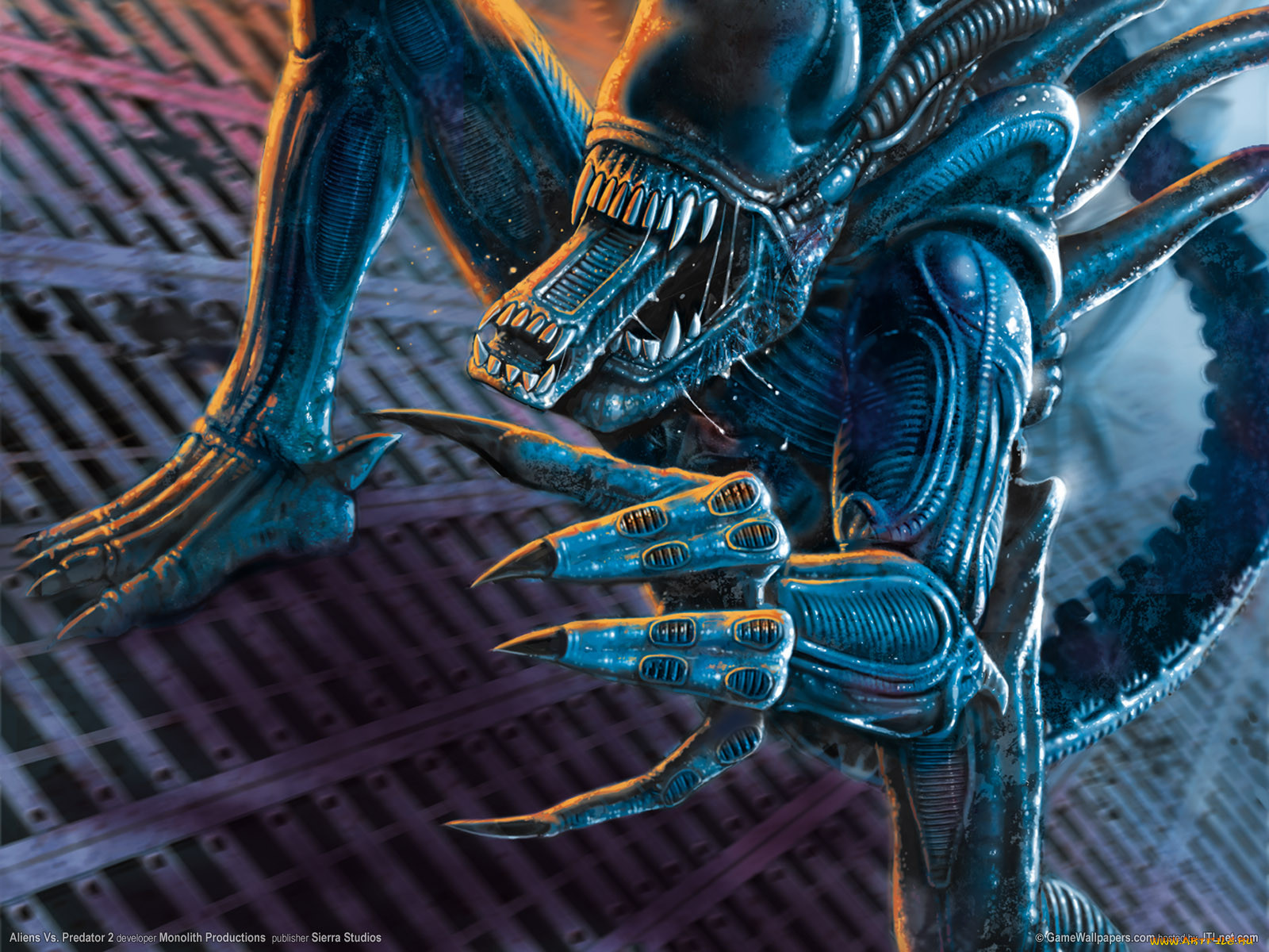 , , aliens, vs, predator